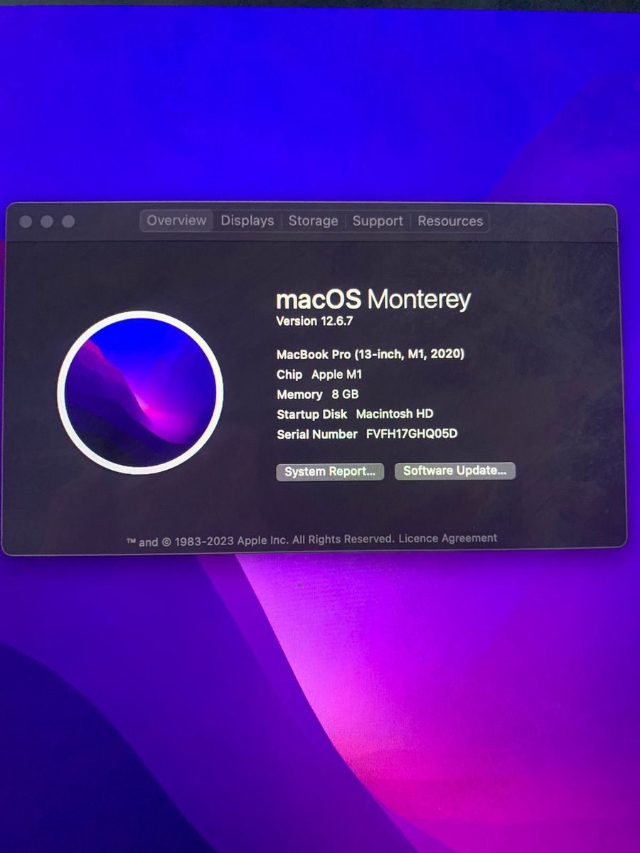 BRAVIN YURI tweet media