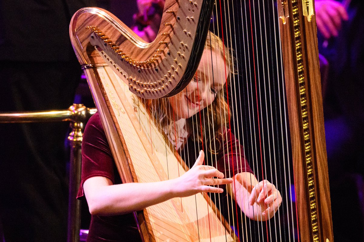 Philip Noyce tweet media