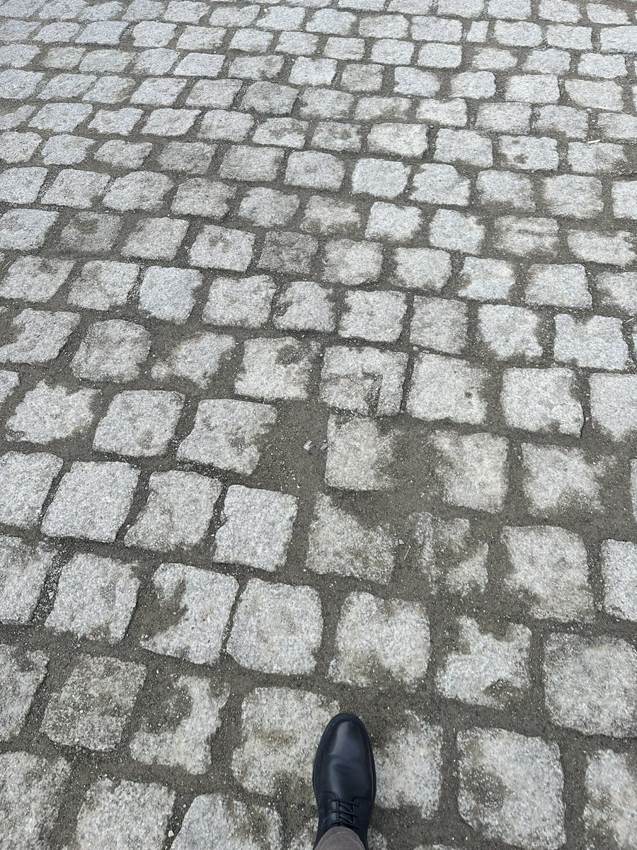 Хувийн хэвшил болон Төрийн тавьсан явган хүний замууд нэг иймэрхүү л 🤭🤭🤭