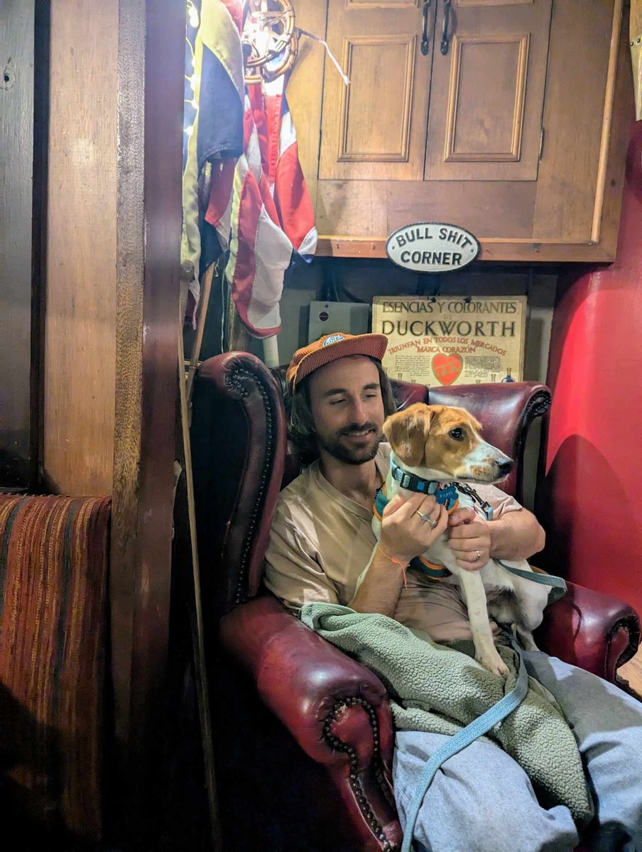 Decspets.ie tweet media