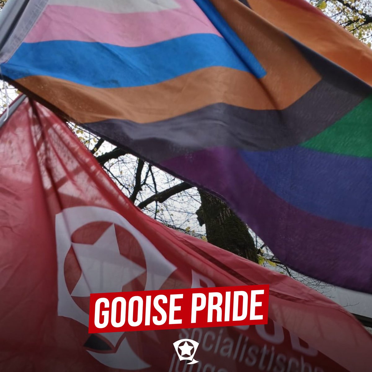 ROODHilversum's tweet photo. Dit weekend waren wij bij de eerste Gooise Pride March! Het was een strijdbare demonstratie met sprekers als @InesKostic en Ryan Ramharak! Tot de volgende! 🏳️‍🌈🏳️‍⚧️🏳️‍🌈🏳️‍⚧️ https://t.co/Dhp0ml2Ooa
