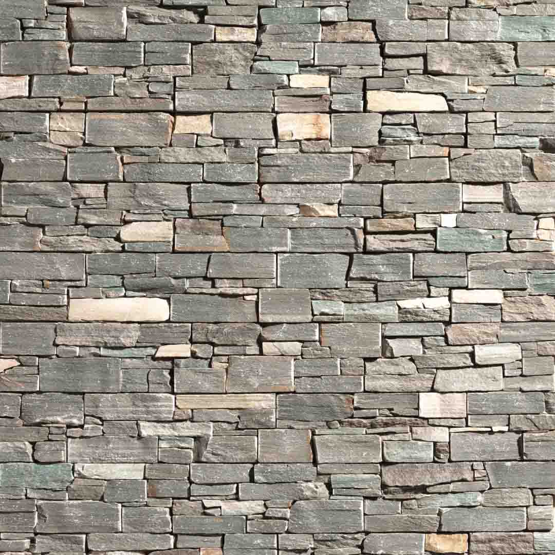 Taylor Maxwell tweet media