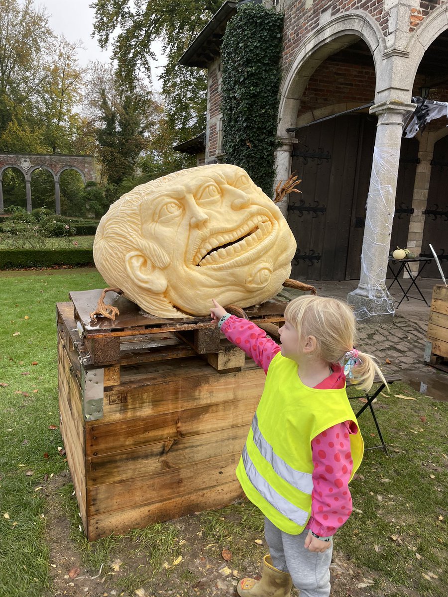 BSBTrips tweet media