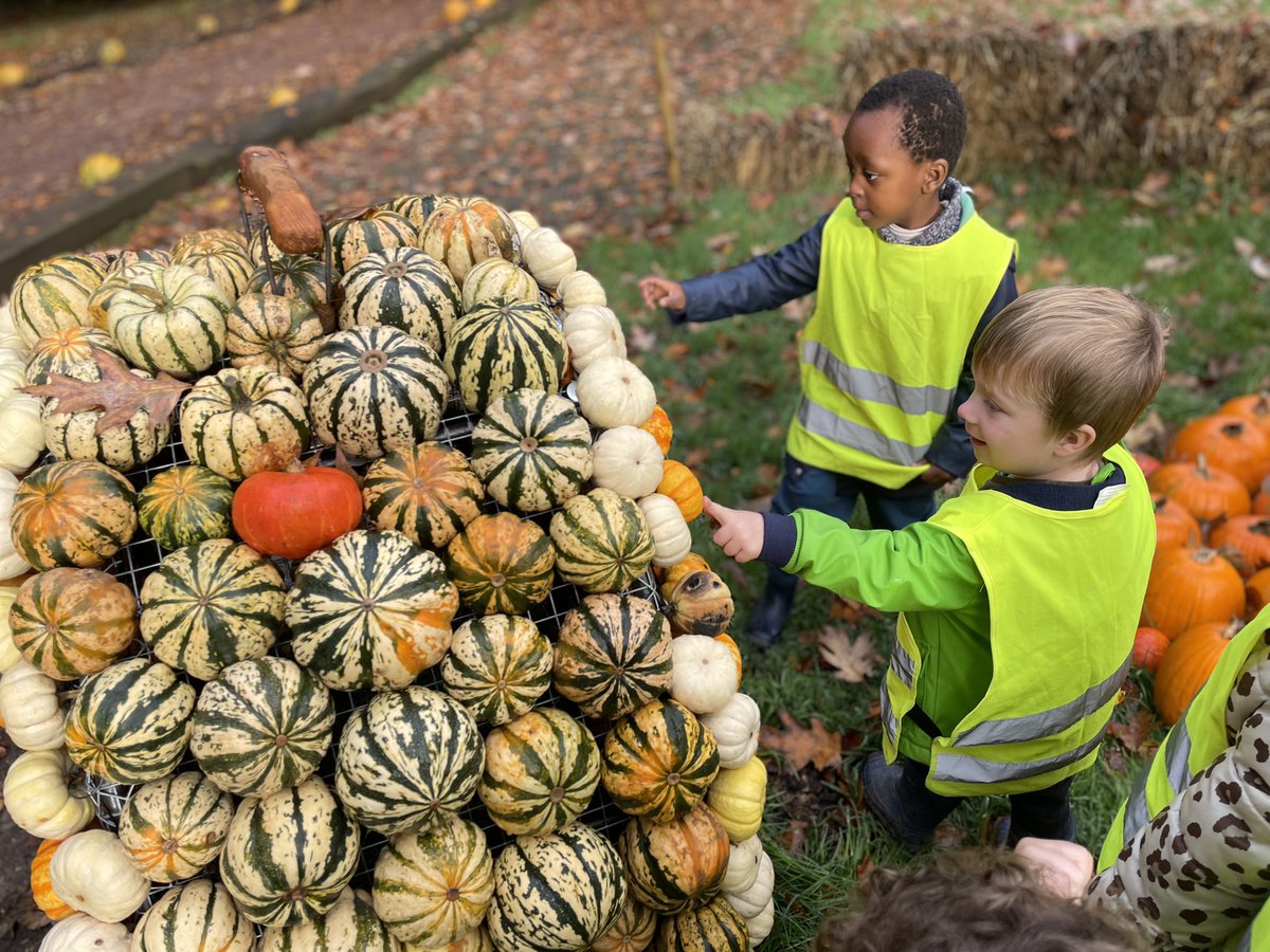 BSBTrips tweet media