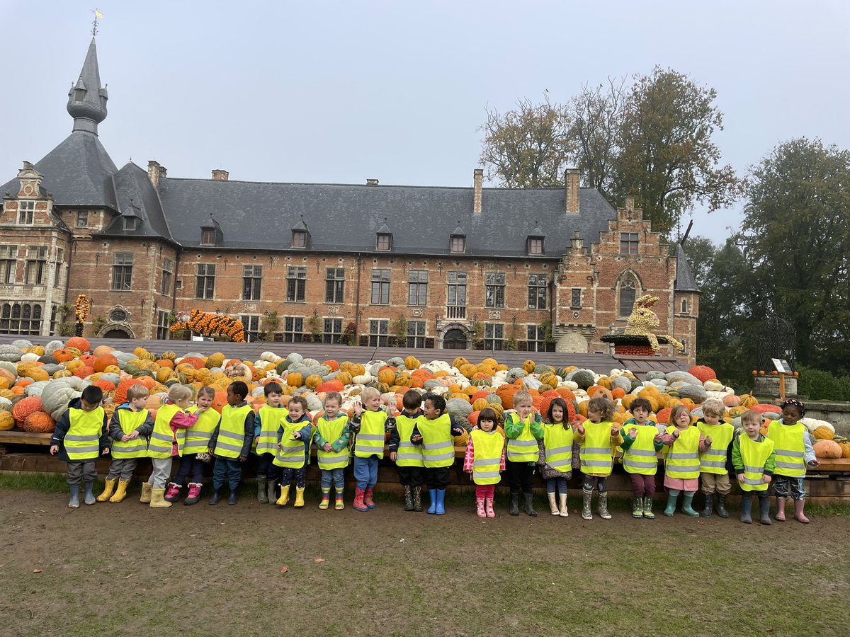 BSBTrips tweet media