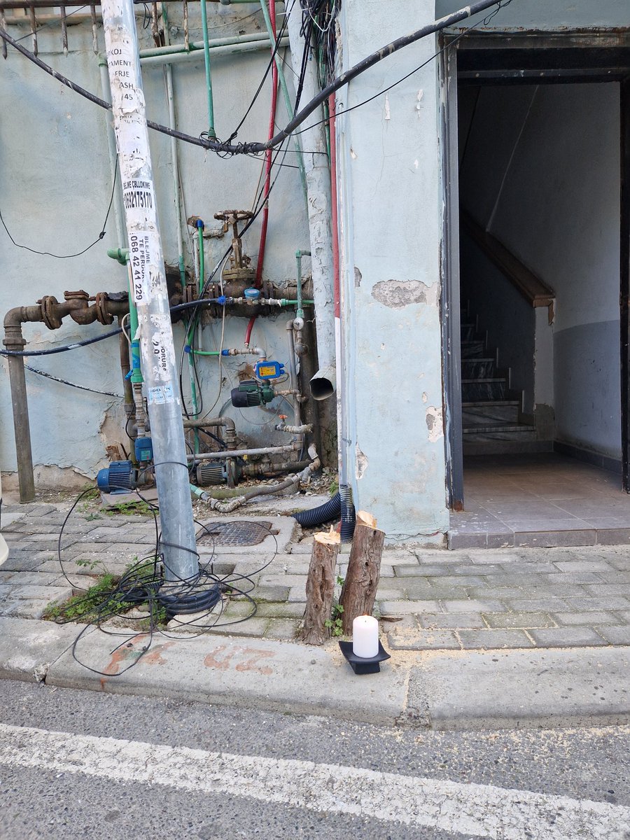 In Memoriam!
Someone beautifully said: "Is it unfitting to be concerned about trees, when so many people suffer in so many ways? Perhaps. But then again, maybe having a true appreciation of trees is somehow a part of knowing who we are, and how to live."