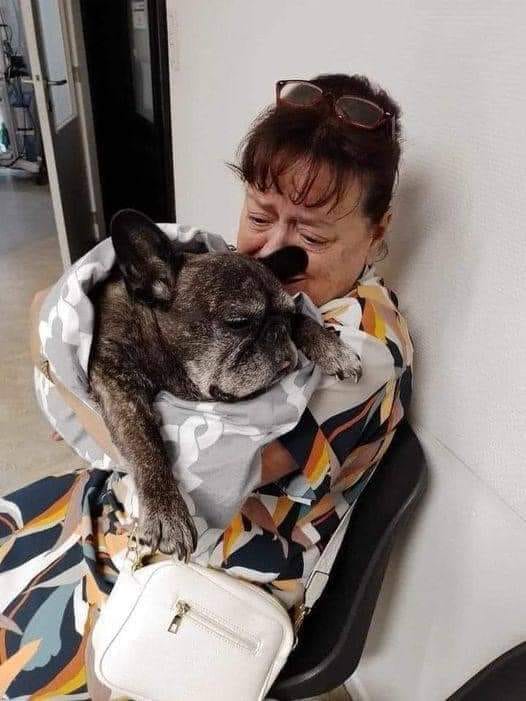 Beyond The Leash tweet media