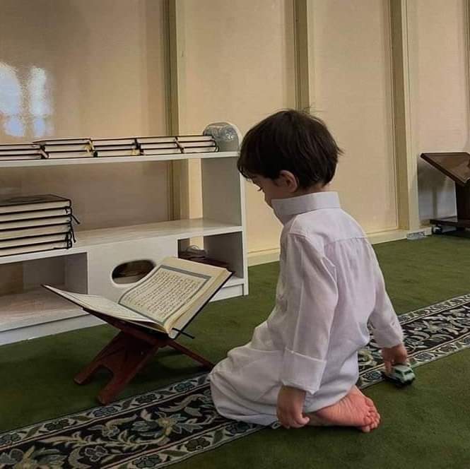 naqa925's tweet photo. "وَيَنشَأُ ناشِئُ الفِتيانِ مِنّا
عَلى ما كانَ عَوَّدَهُ أَبوهُ" https://t.co/ZzwB7RRafq