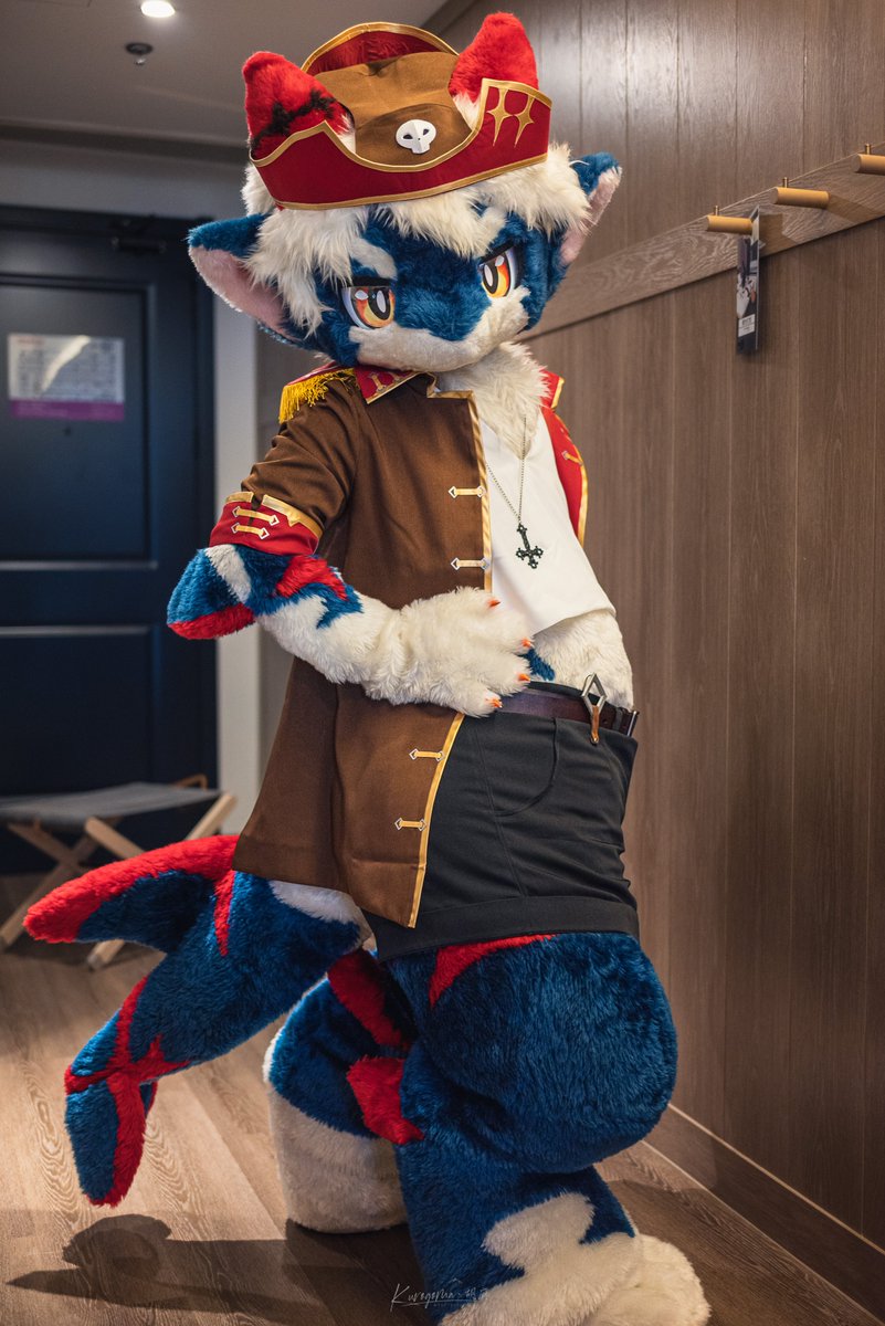 好久没出现的船长