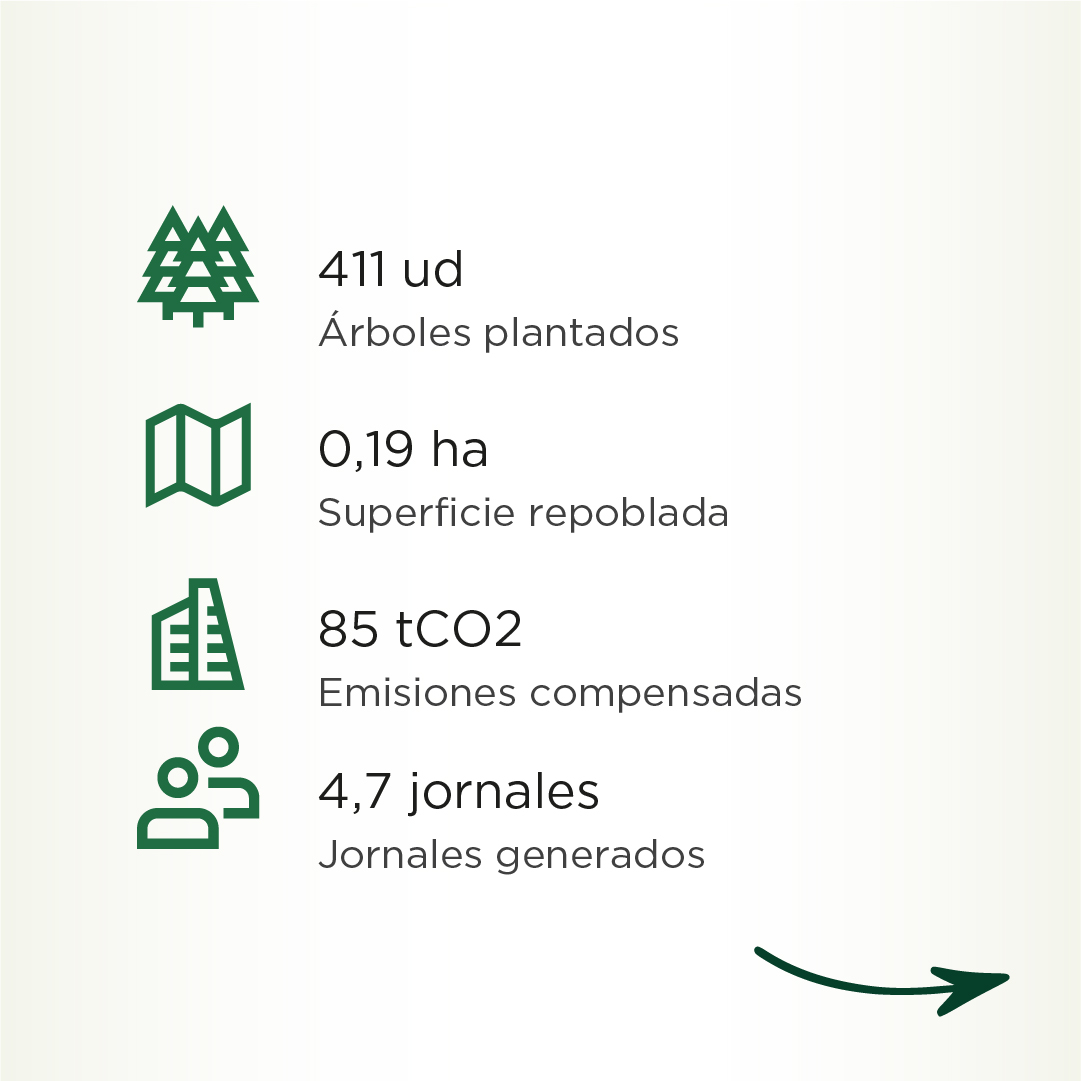 Bosques Sostenibles tweet media