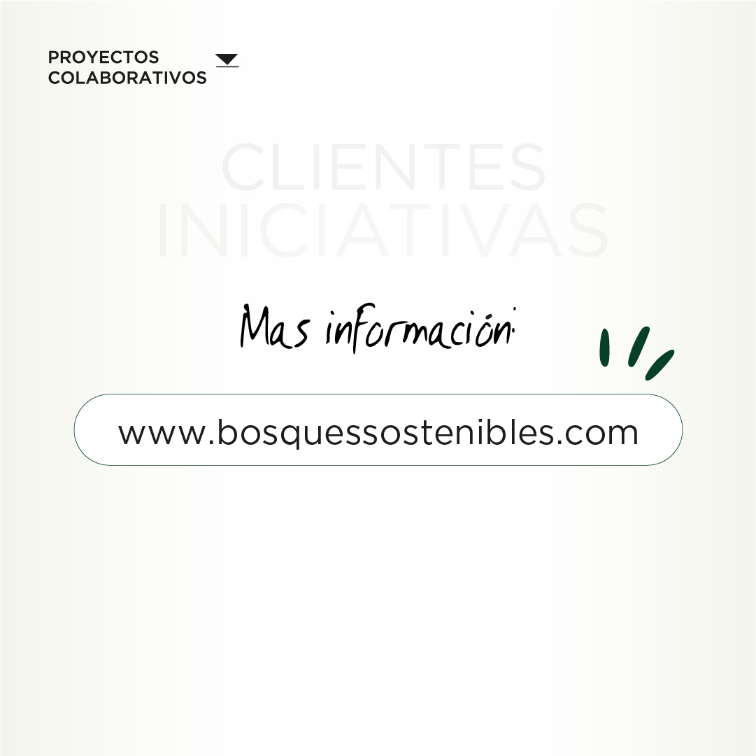Bosques Sostenibles (@bsostenibles) on Twitter photo 🎶 ¡Bienvenidos <a href="/jardindeliciasf/">Jardín De Las Delicias Festival</a> 🌱 Gracias por formar parte de #SustainableVenturing
🌳<a href="/unicomplutense/">Complutense</a> Juntos, mostramos que música y sostenibilidad pueden ir de la mano.
Todos los detalles 🌲 ↙
i.mtr.cool/bjkmvuvojc
#MúsicaConImpacto #CompensaciónCO2 #Sostenibilidad 🎶 ¡Bienvenidos <a href="/jardindeliciasf/">Jardín De Las Delicias Festival</a> 🌱 Gracias por formar parte de #SustainableVenturing
🌳<a href="/unicomplutense/">Complutense</a> Juntos, mostramos que música y sostenibilidad pueden ir de la mano.
Todos los detalles 🌲 ↙
i.mtr.cool/bjkmvuvojc
#MúsicaConImpacto #CompensaciónCO2 #Sostenibilidad