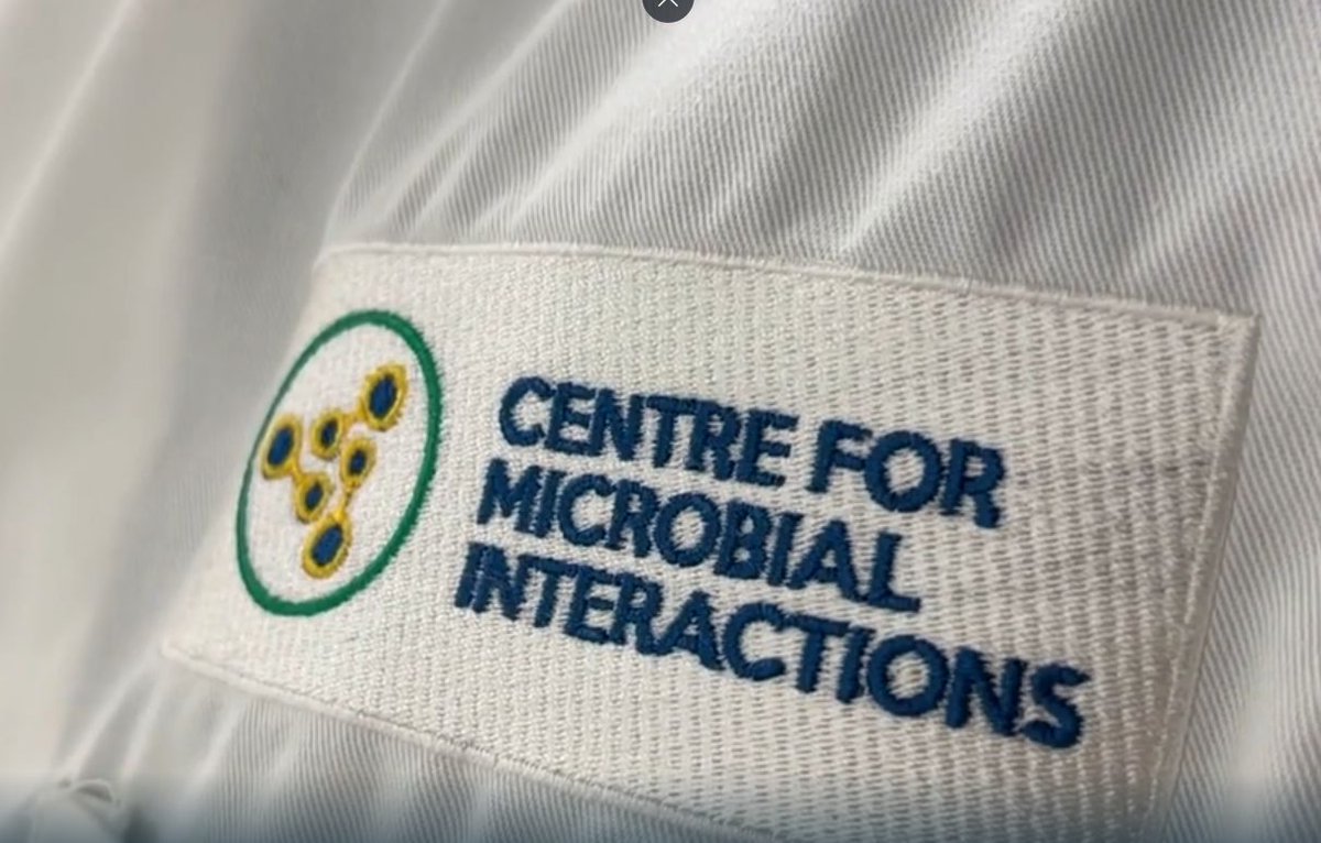 Quadram Institute (@thequadram) on Twitter photo 📺 The Centre for Microbial Interactions <a href="/micronorwich/">Centre for Microbial Interactions</a> was on <a href="/itvanglia/">ITV News Anglia</a> last night, featuring researchers from across <a href="/NorwichResearch/">Norwich Research Park</a> Park
Watch from 07:25
➡️ buff.ly/3YhFYnF
<a href="/JohnInnesCentre/">John Innes Centre</a> <a href="/uniofeastanglia/">UEA</a> <a href="/EarlhamInst/">Earlham Institute</a> <a href="/TheSainsburyLab/">The Sainsbury Laboratory</a> <a href="/NNUH/">Norfolk and Norwich University Hospitals</a> 📺 The Centre for Microbial Interactions <a href="/micronorwich/">Centre for Microbial Interactions</a> was on <a href="/itvanglia/">ITV News Anglia</a> last night, featuring researchers from across <a href="/NorwichResearch/">Norwich Research Park</a> Park
Watch from 07:25
➡️ buff.ly/3YhFYnF
<a href="/JohnInnesCentre/">John Innes Centre</a> <a href="/uniofeastanglia/">UEA</a> <a href="/EarlhamInst/">Earlham Institute</a> <a href="/TheSainsburyLab/">The Sainsbury Laboratory</a> <a href="/NNUH/">Norfolk and Norwich University Hospitals</a>