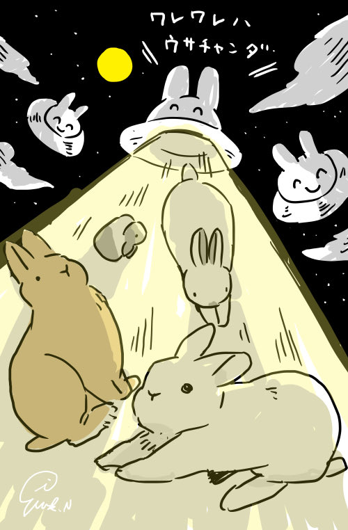 ｳｻﾁｬﾝﾀﾞ