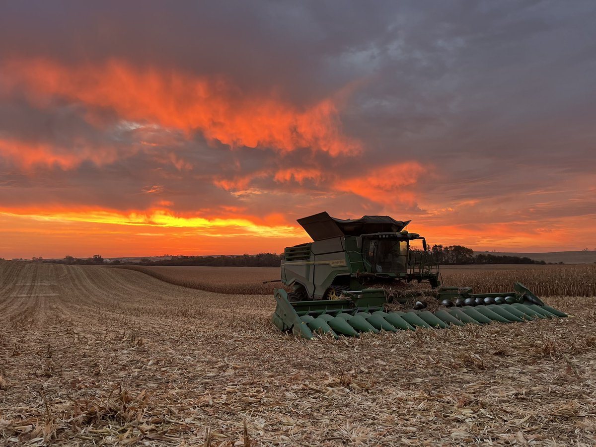 ColeWirth's tweet image. Wicked sky this morning #Harvest24