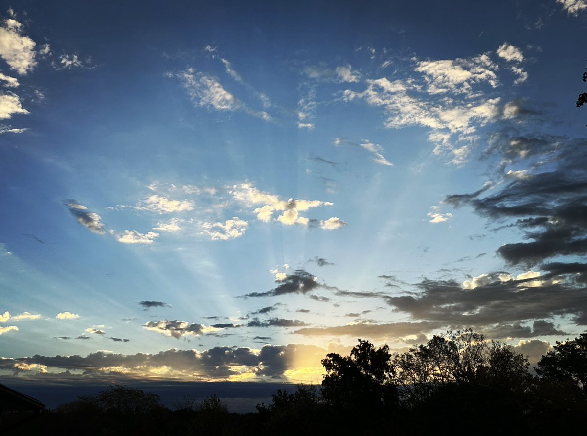 Kat 🐶 📚 ☕️ tweet media