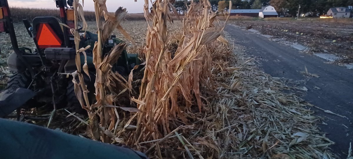 MrPopcornGuy's tweet image. Found it last night
#lastpass #popcorn #harvest