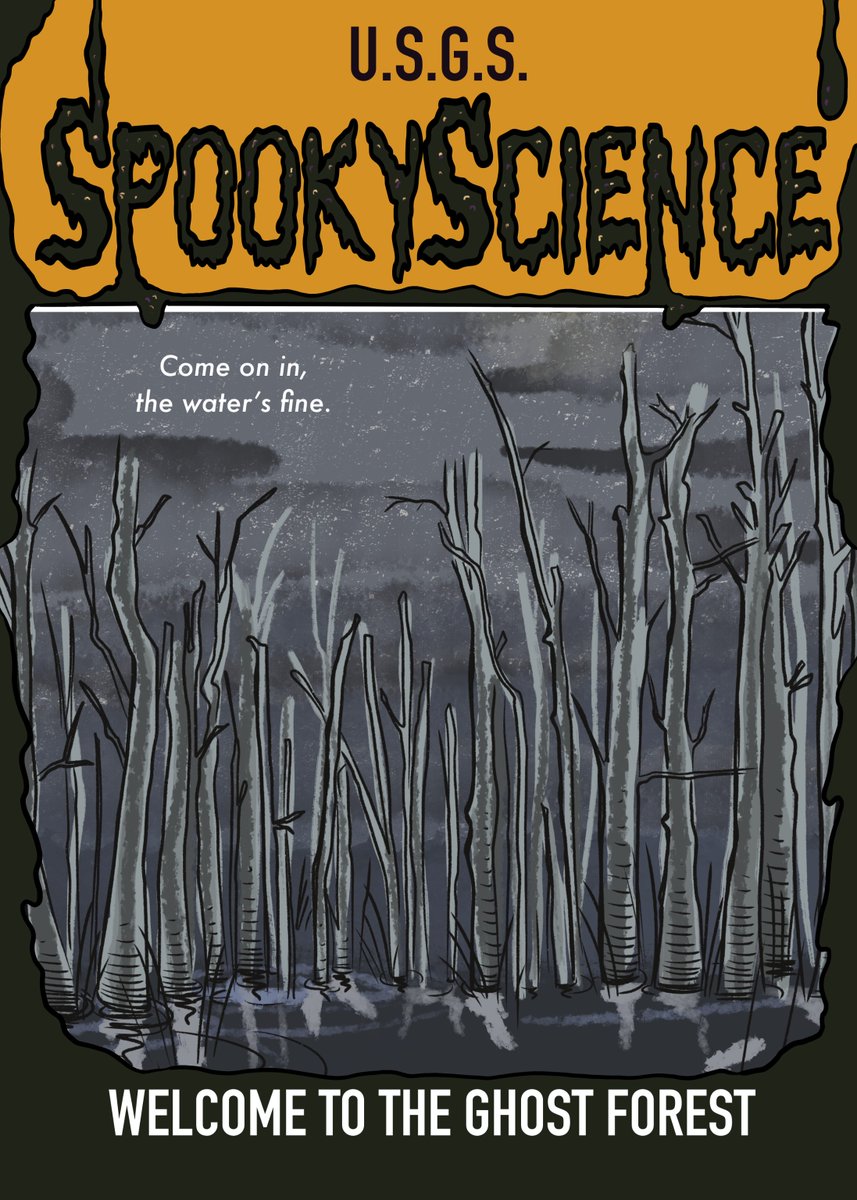 USGS's tweet image. Welcome to the Ghost Forest
Asha loves camping. She can’t wait to explore the coastal forest where her family is spending the weekend. But something’s off about this place...
#SpookyScience #GhostForest