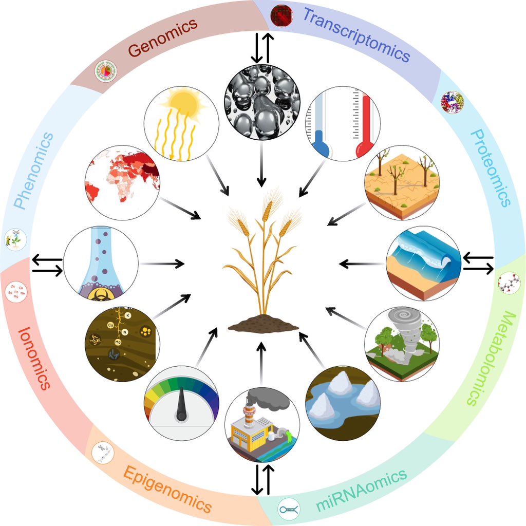 Happy to share the #Editorial "#Omics-assisted #crop improvement under #abiotic stress conditions" of our special issue in #PlantStress @ELSenviron🎊

Enjoy reading all the #OpenAccess articles🆓

🖇️sciencedirect.com/science/articl…

<a href="/KaranSoyWheat/">Karansher Singh Sandhu, Ph.D. (Karan)</a> <a href="/Gangurde_SS/">Sunil Gangurde</a> <a href="/CUT_PlantStress/">Plant Stress Physiology Group @CUT</a> <a href="/sci_plant/">Plant Science</a>