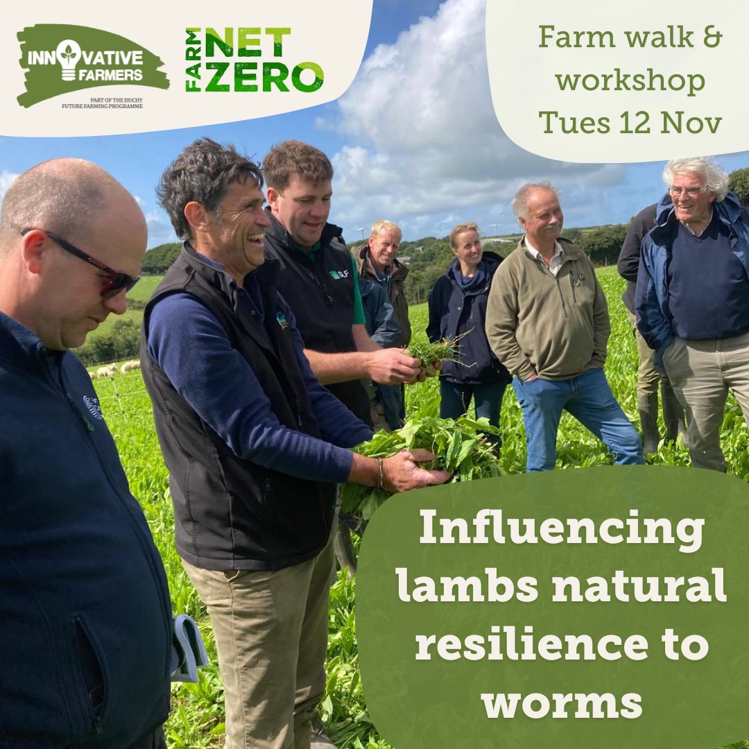 Interested in influencing lambs natural resilience to worms?

Join us &amp; <a href="/FarmCO2Toolkit/">Farm Carbon Toolkit</a> on Tues 12 Nov at Higher Thornton Farm, Devon. You'll hear the latest #fieldlab results, plus tips on breeding, grazing management of herbal leys, and more.

Book here: innovativefarmers.org/events/forage-…