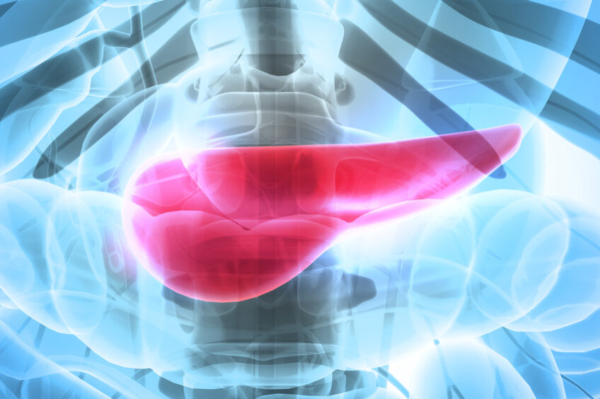 Une étude menée entre autres par des scientifiques de l’#Inserm révèle comment le #diabète de type 2 peut provoquer des changements épigénétiques menant au #cancer du pancréas.

Lire le communiqué : presse.inserm.fr/diabete-decouv…