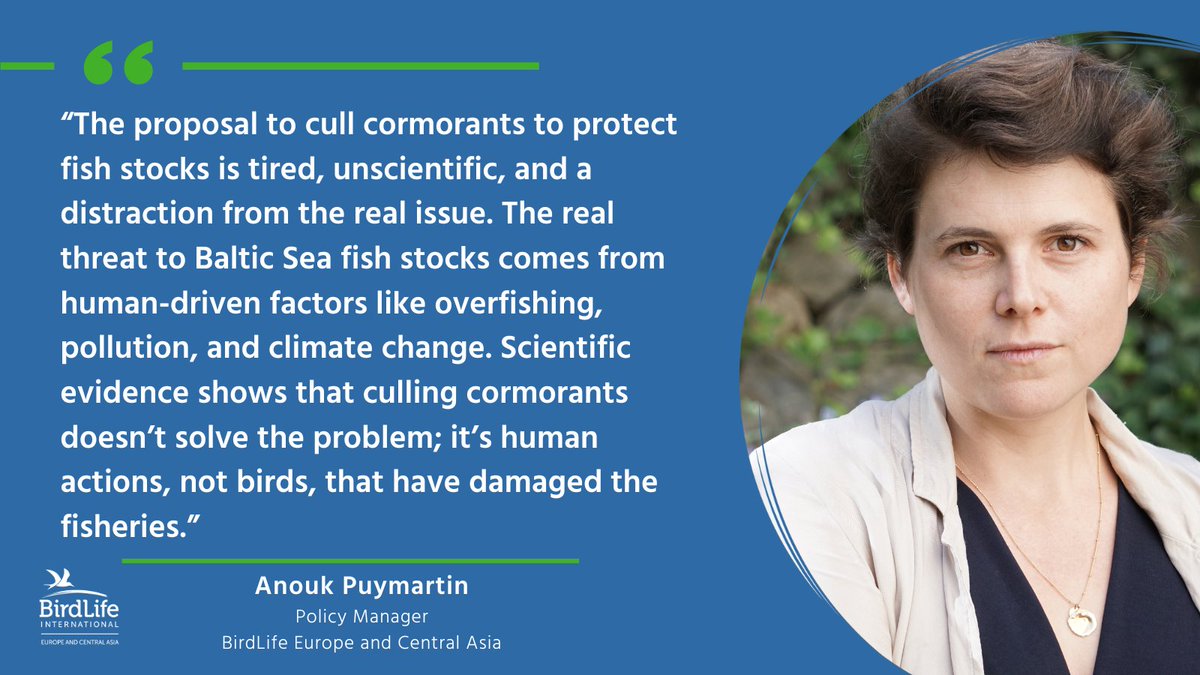 Sweden, Finland, Estonia, and Latvia want to move cormorants to Annex II of the EU Birds Directive —basically, they want to kill birds for... eating fish.

But human activities are the problem here, not birds. 

Instead of wasting resources on ineffective culls, we should focus