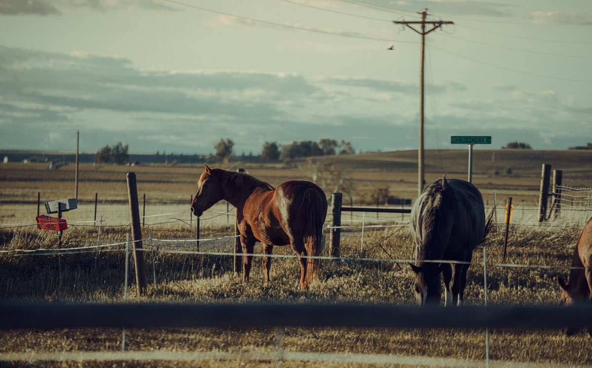 Photographs from Montana