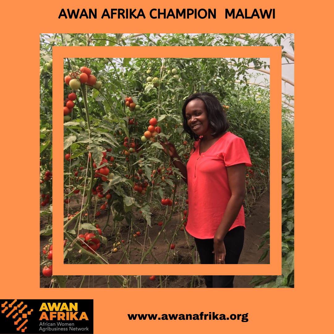 AWAN Afrika youth champions are practising Climate-Smart Agriculture, leading the way in prompting a sustainable, resilient, and food-secure future."

 #ClimateSmartAgriculture #YouthInClimateAction