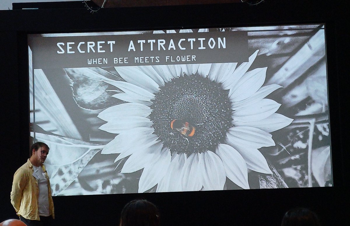 Congratulations to Dr Ryan Palmer who won our Research Storytelling Competition with 'Secret Attraction - When Bee Meets Flower'. - All about how tiny electrical charges on a flower can attract bees!