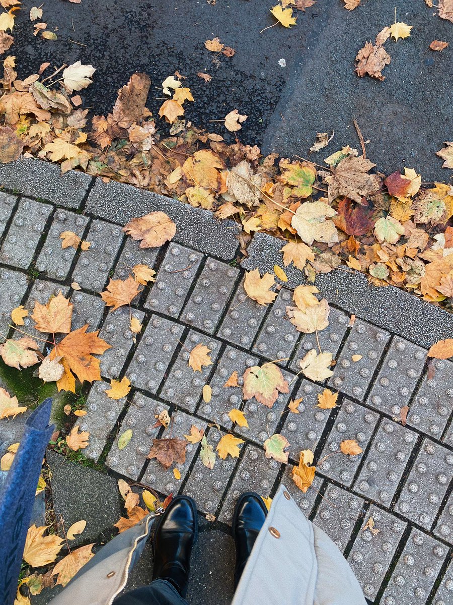 breendag's tweet photo. Herbst 🍂 https://t.co/6yvjd6lTAa