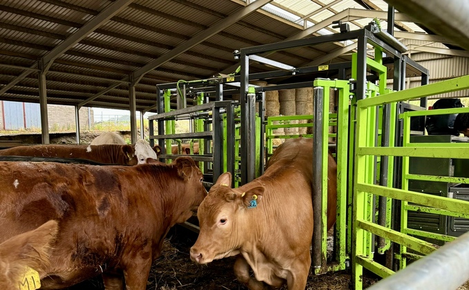 Herd Advance (@herdadvance) on Twitter photo Did you spot Herd Advance in the <a href="/FarmersGuardian/">Farmers Guardian</a> earlier this month? Read the full article linked below and get in touch to discuss the impact Stockman can have on your herd management practices.
farmersguardian.com/feature/436641…
#farmingnews #farmtechnology #beeffarmers Did you spot Herd Advance in the <a href="/FarmersGuardian/">Farmers Guardian</a> earlier this month? Read the full article linked below and get in touch to discuss the impact Stockman can have on your herd management practices.
farmersguardian.com/feature/436641…
#farmingnews #farmtechnology #beeffarmers