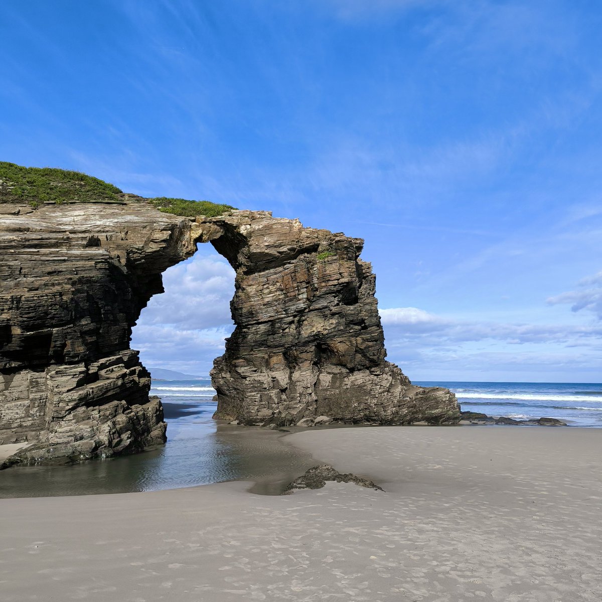 Beatriz González tweet media