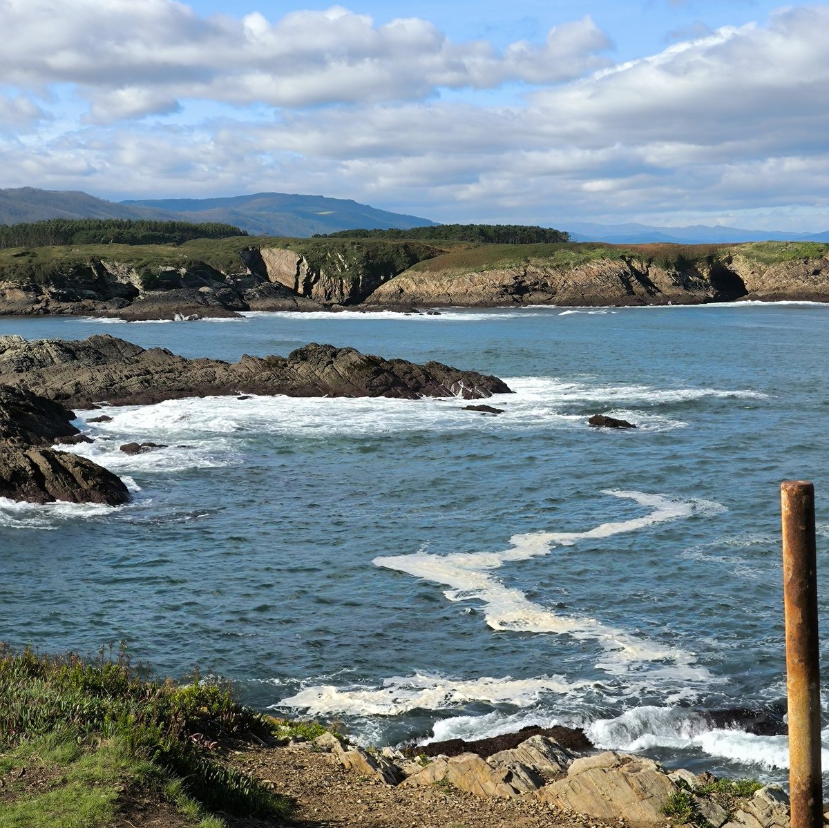 Beatriz González tweet media