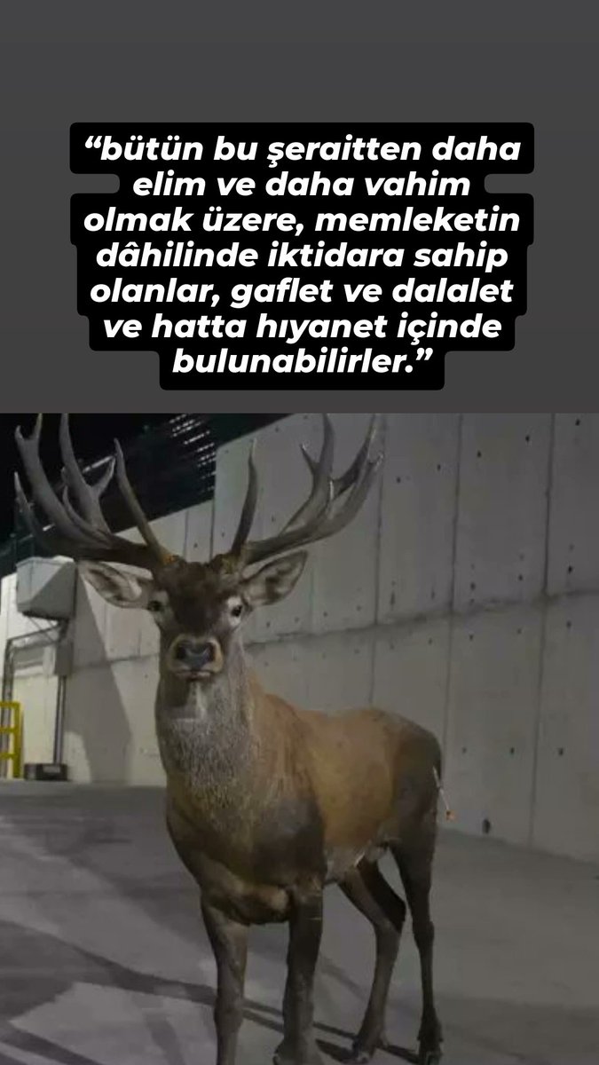 Töre hakli çıktı !