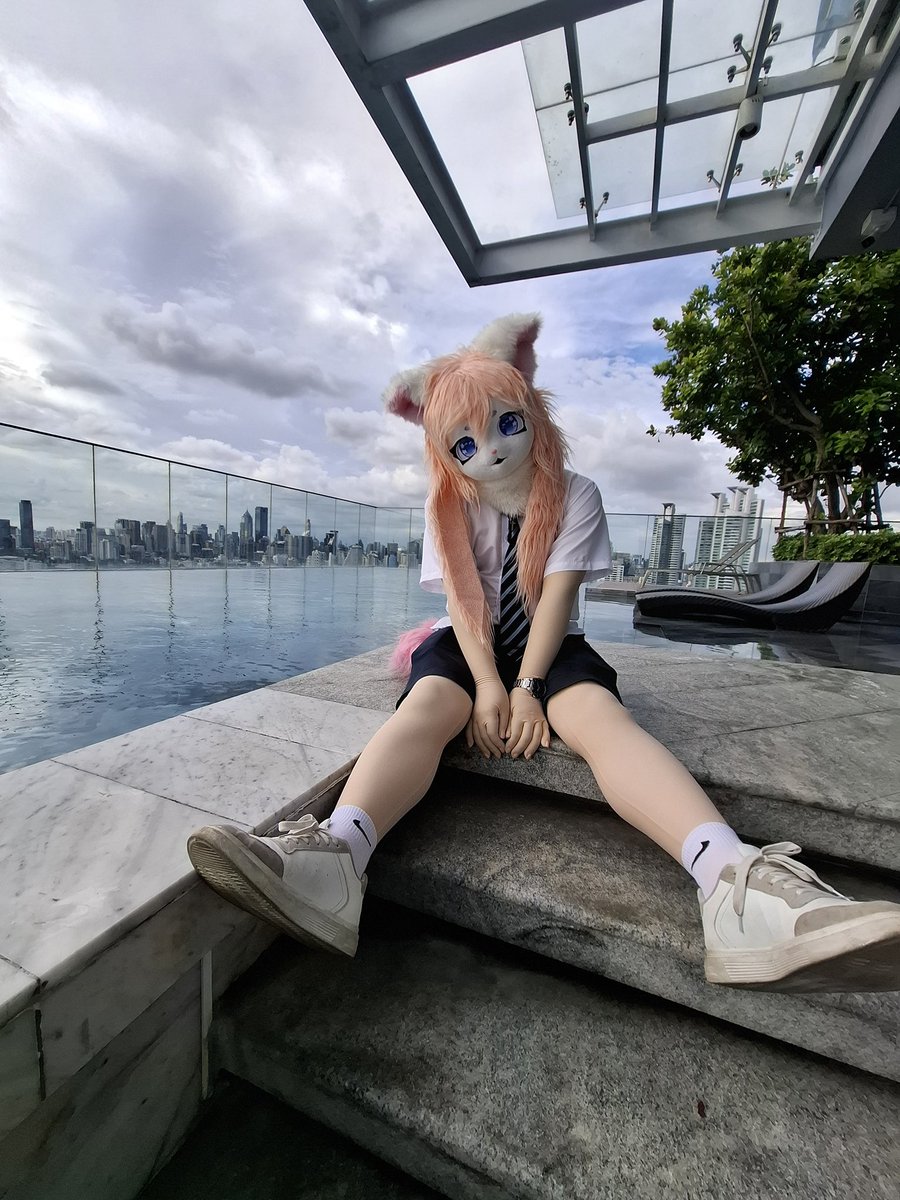 ที่บ้านพี่ มีแมวหรือยังฮะ 🐱 ~เหมี๊ยว
#fursuit
#furry
#cosplay