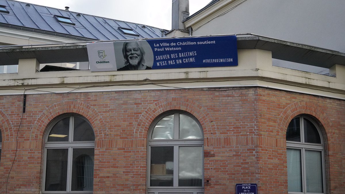 Francoisemontse's tweet photo. La Ville de Châtillon 92, engagée dans le respect du vivant et pour la biodiversité apporte son soutien à Paul Watson, emprisonné depuis plus de 3 mois au Groenland.
#FreePaulWatson 
#LiberezPaulWatson
@hugoclement https://t.co/mTp9DhOmZW