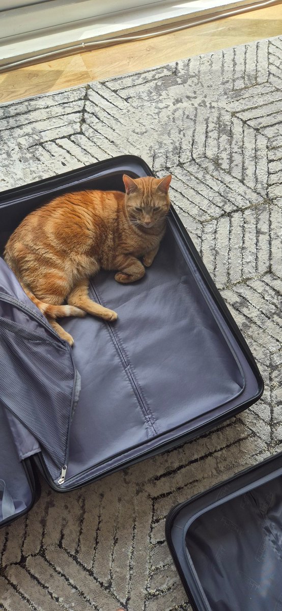 Susan Calman tweet media