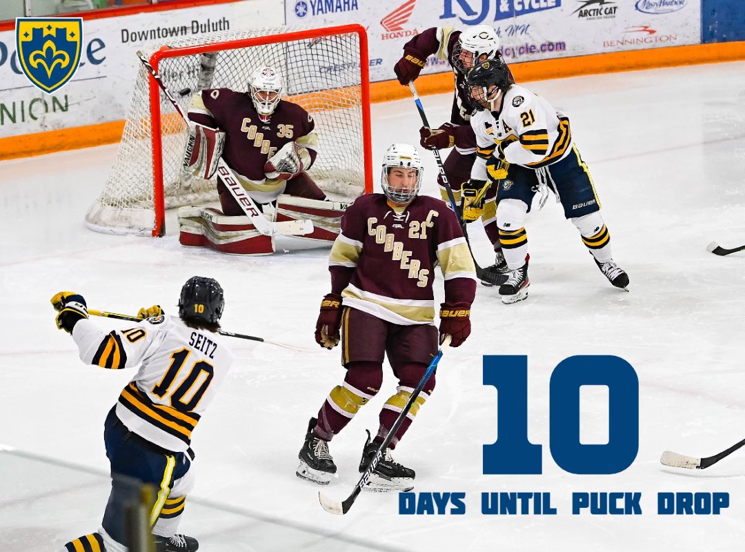 10 days until puck drop in Milwaukee vs. MSOE 👀👼