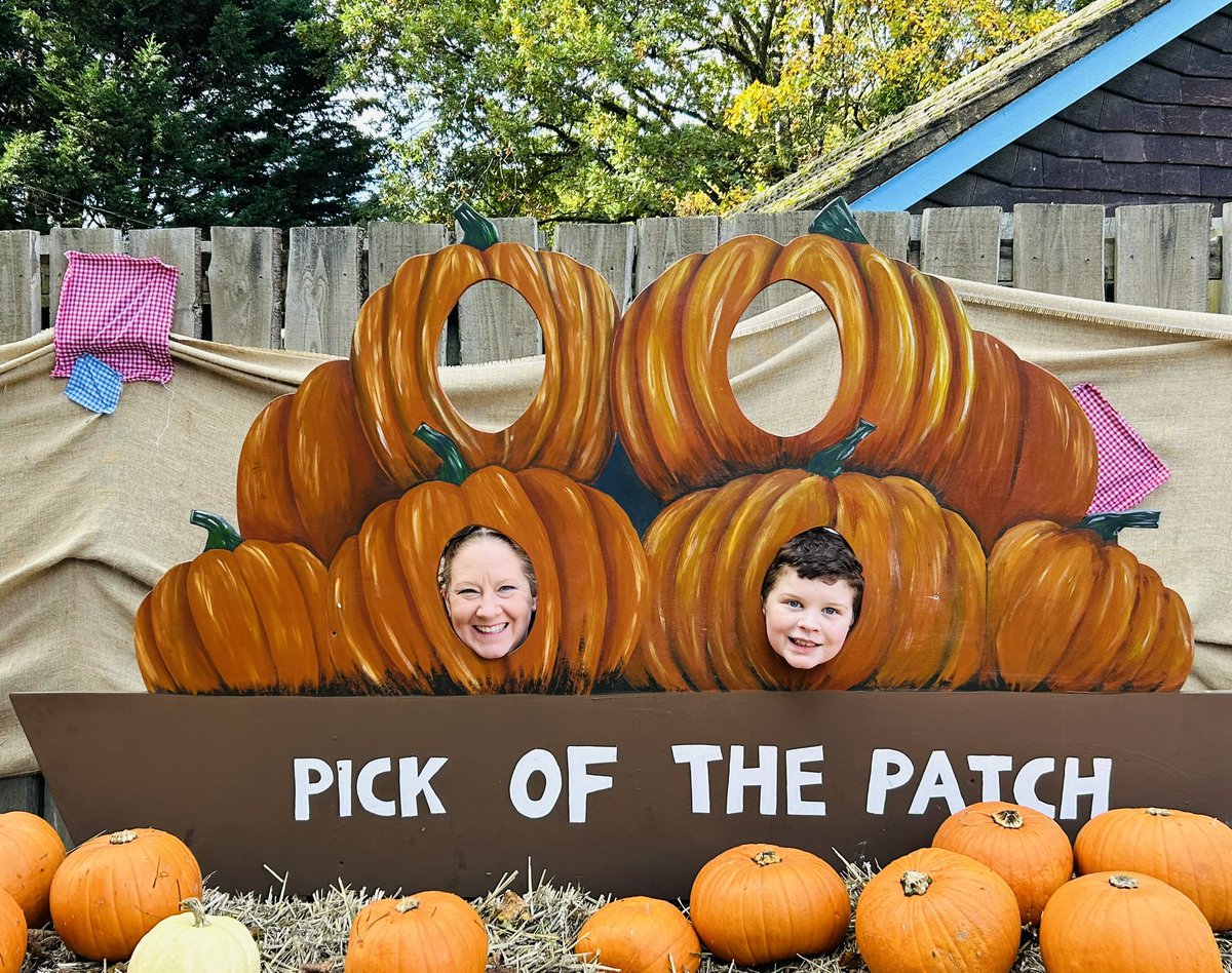 Cute little pumpkins 🎃