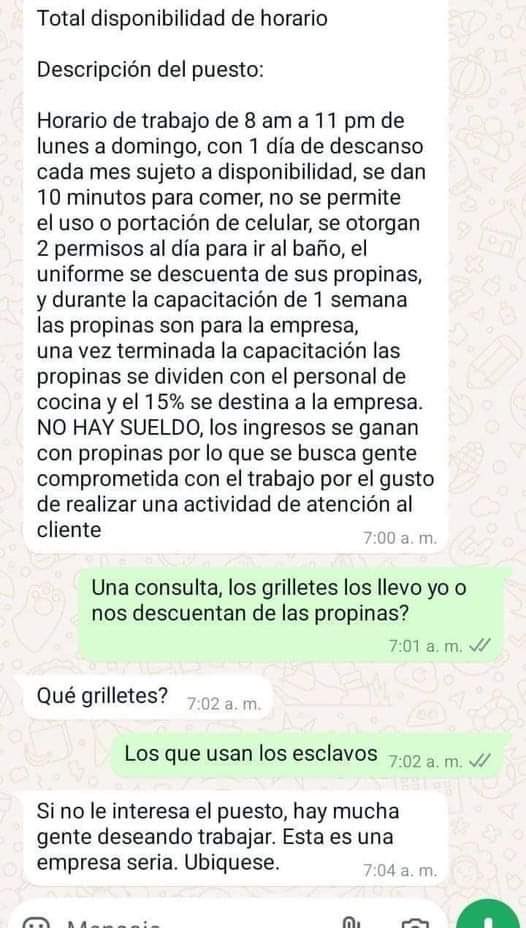 Noa Gresiva tweet media