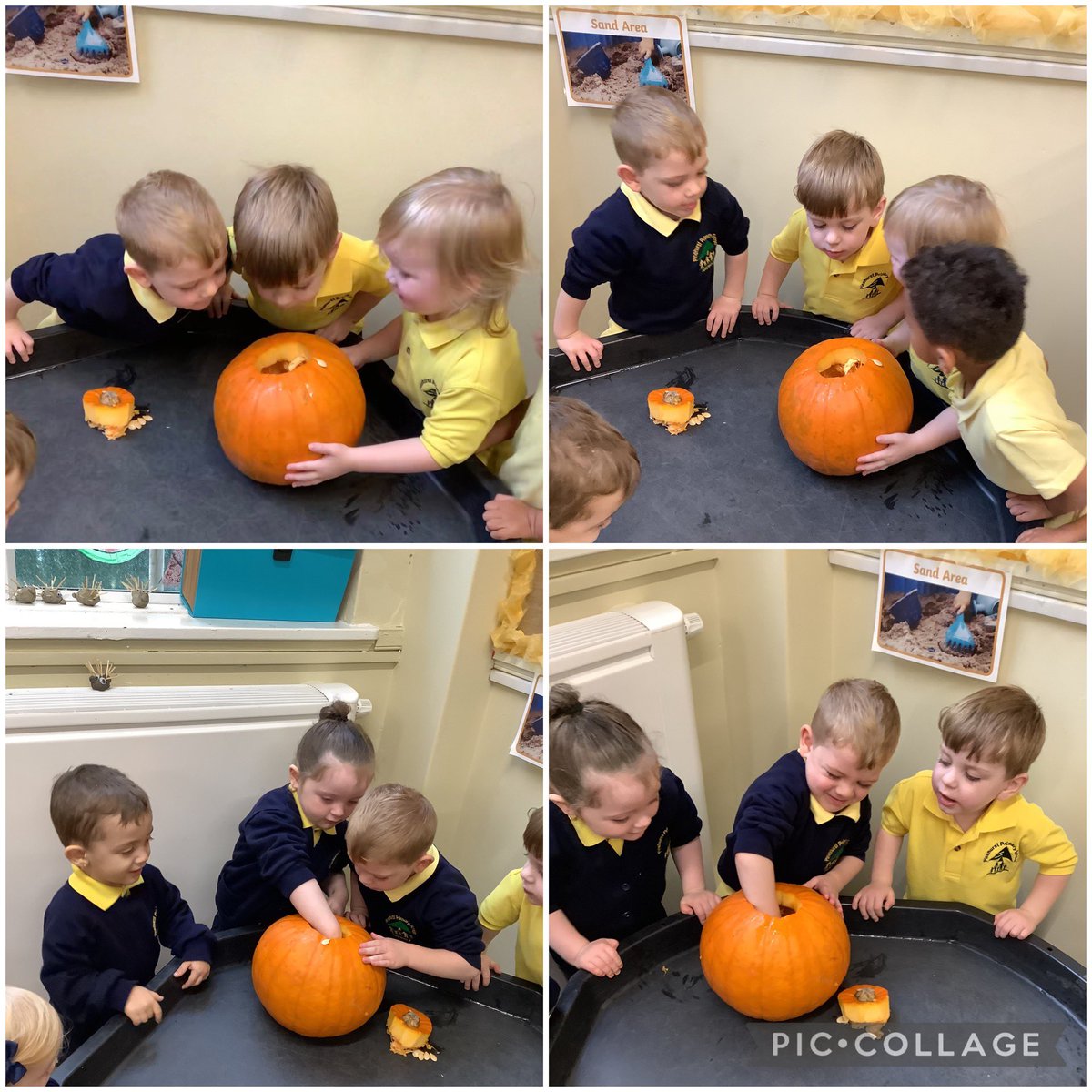 LittlePinecone1's tweet photo. Today we spent time exploring a pumpkin by taking the top off to see what was inside 🎃 We then put the pulp and seeds on a tuff tray so we could investigate further.
#PinehurstScience @PinehurstP https://t.co/igpaiqagkx