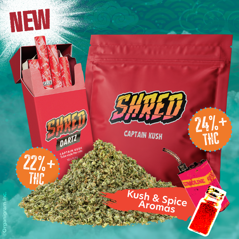 SHREDWEED's tweet photo. Take the Captain to-go! Captain Kush is here to steer you into a skunky Indica paradise. Get shipwrecked with SHRED’s first INDICA pre-milled blend, dripping with that unmistakable KUSH aroma. Now available in pre-rolls!