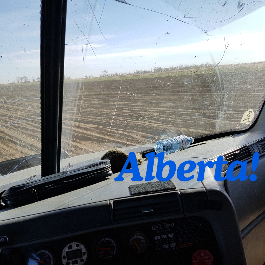 danashton__'s tweet photo. I always enjoy assisting my family with the sugar beet harvest each year. 🚜
.
.
#funtimeswithfamily #foreverfamily #ruralalberta  #albertafarm  #albertagrown  #albertafarmers  #albertaviews https://t.co/6hGRuZifCN