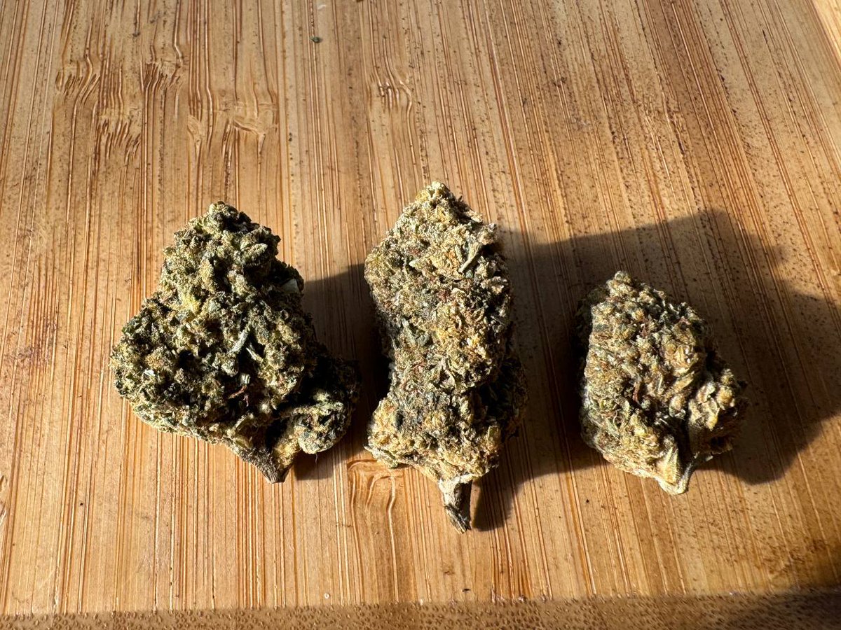 California Imported Mid-Shelf Buds🌹

#malaysia420 #kl420 #johor420 #penang420 #sabah420 #thaibrick #weedmalaysia #ganjamalaysia #cannabismalaysia #klbuds #stonermalaysia #tenangmalaysia #my420

BUY 1 GET 1 FREE NOW!
Link in Bio.