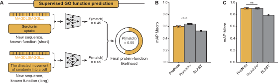 Kevin K. Yang 楊凱筌 tweet media