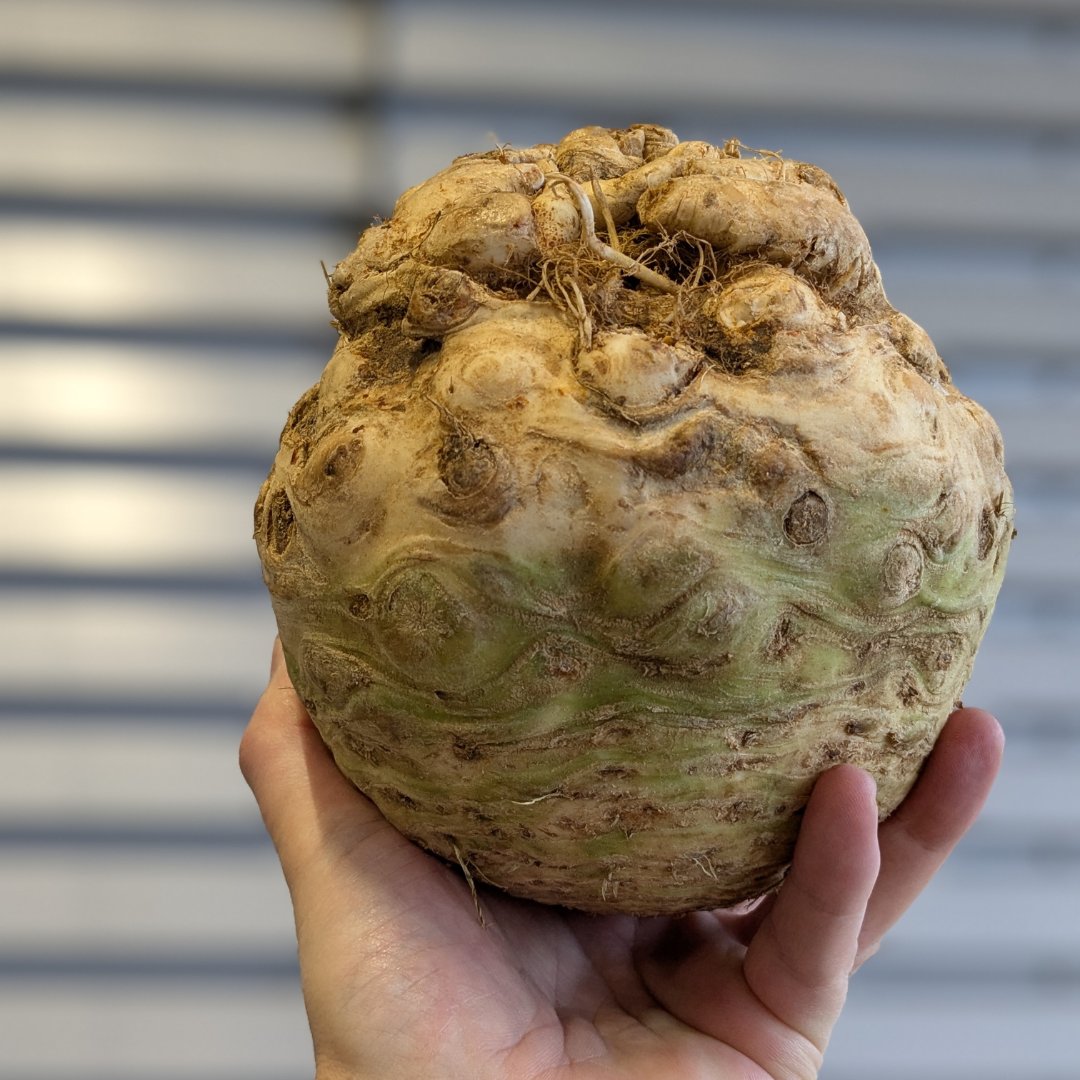 Rushton’s the Chefs' Greengrocer tweet media
