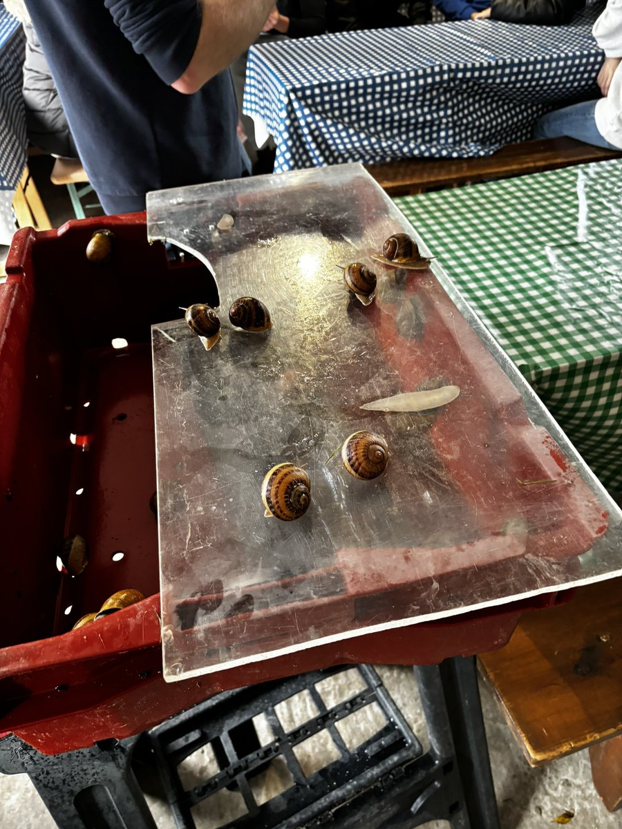 Rodillian tweet media