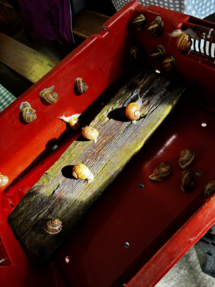 Rodillian tweet media