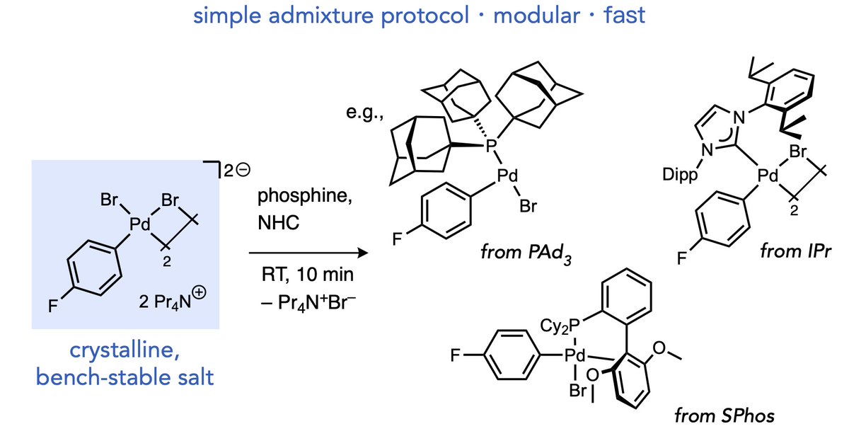 Our latest now on <a href="/ChemRxiv/">ChemRxiv</a>  – 

@aidanlooby28, Lalu, and Wenjun developed a slick entry to oxidative addition complexes that bypasses typical need for independent synthesis with every ligand iteration
 
chemrxiv.org/engage/chemrxi…