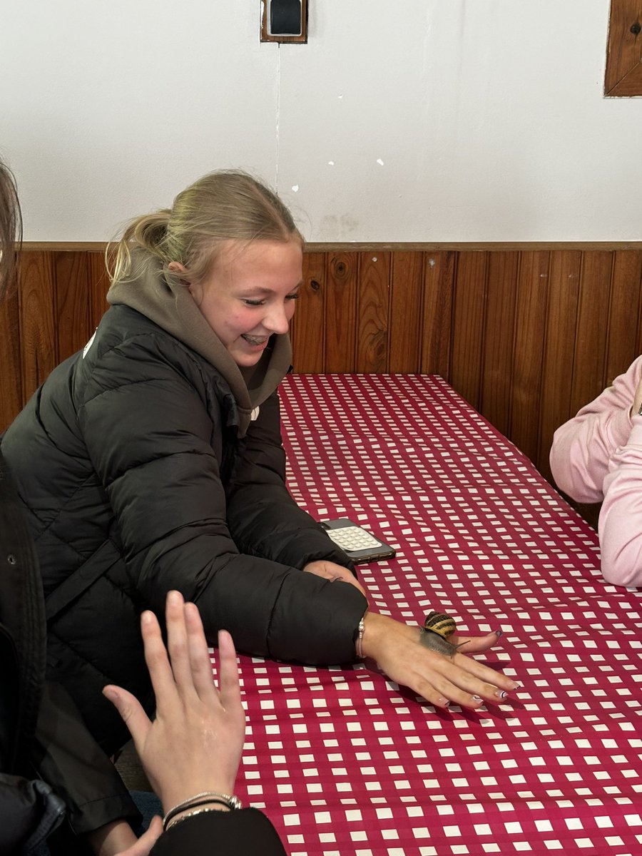 Rodillian tweet media