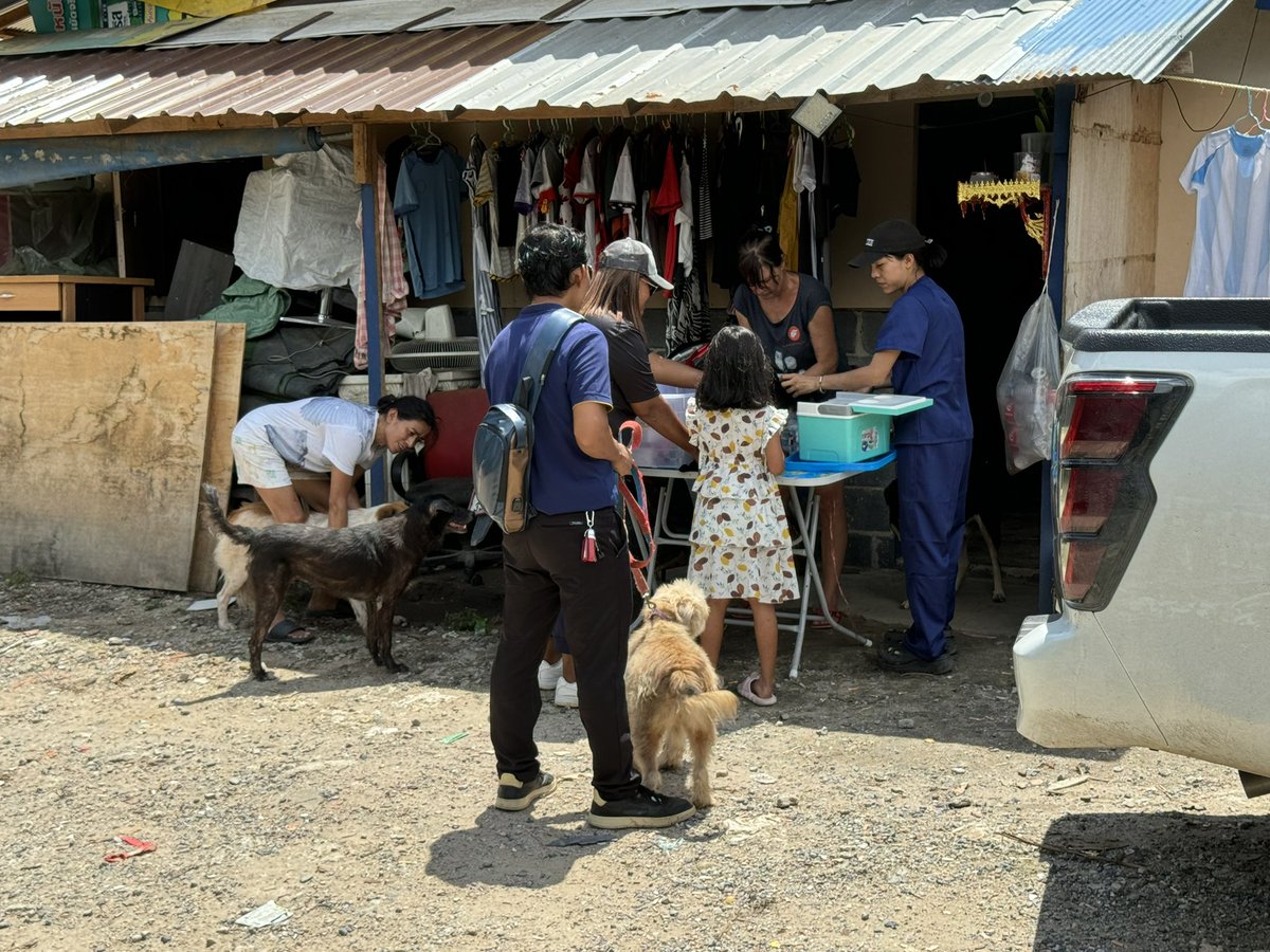 Niall Harbison tweet media